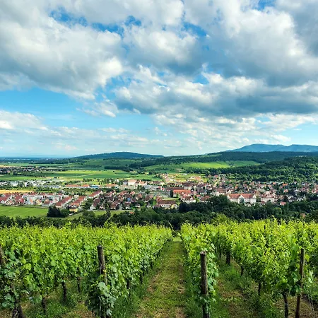 Aparthotel Comfort Portes D'alsace Mutzig