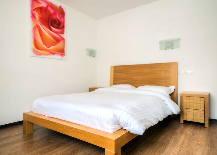 Comfort Portes D'alsace 酒店 3*