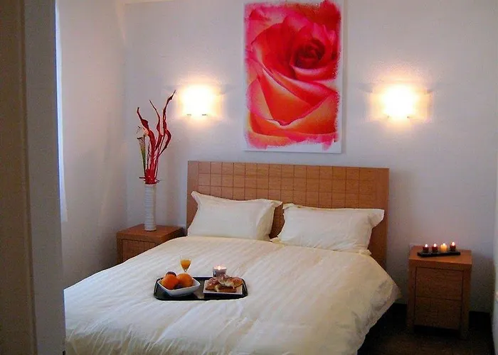 酒店 Comfort Portes D'alsace 米齐格
