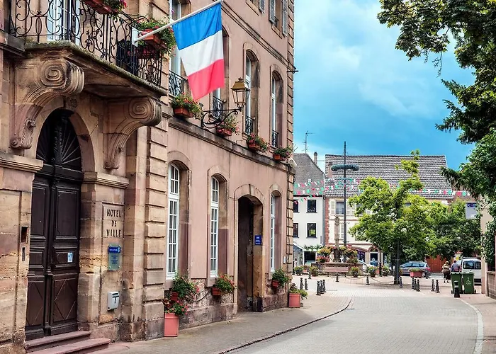 Comfort Portes D'alsace 酒店 米齐格