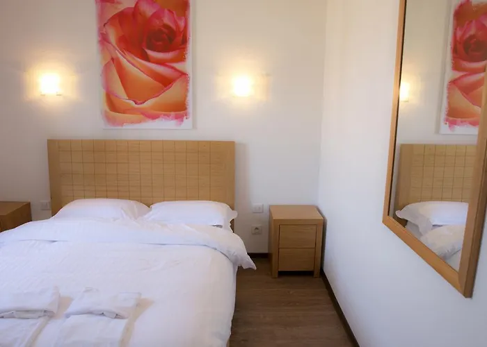 Comfort Portes D'alsace 酒店 米齐格